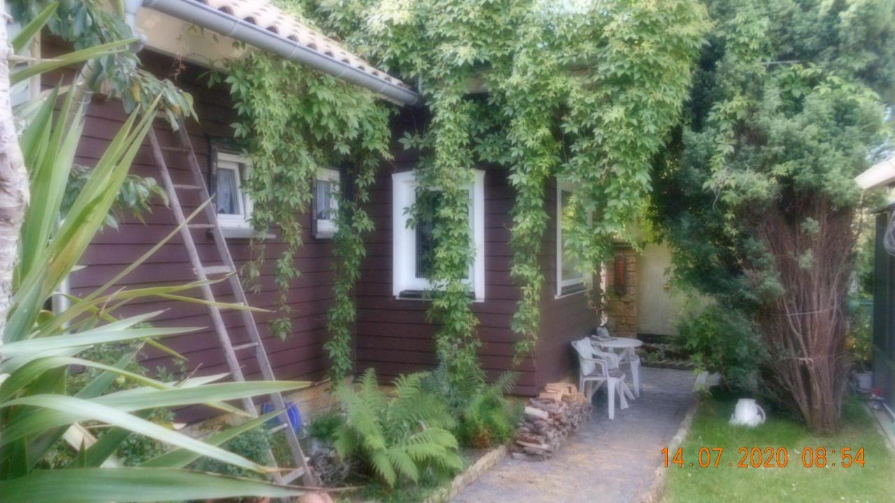 Vermiete Sehr Schoenes Apartment In Dankerode Im Harz Exterior foto