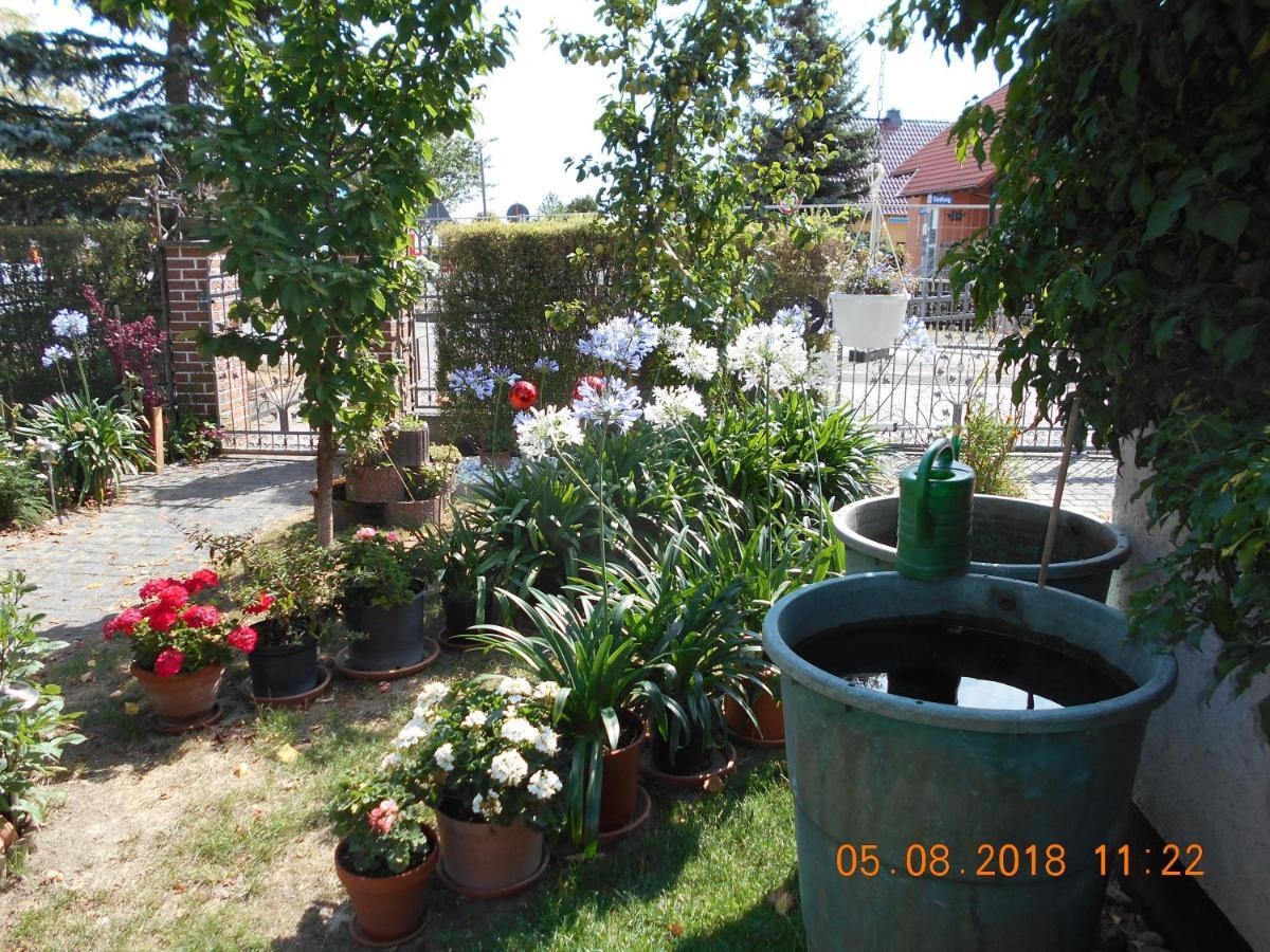 Vermiete Sehr Schoenes Apartment In Dankerode Im Harz Exterior foto